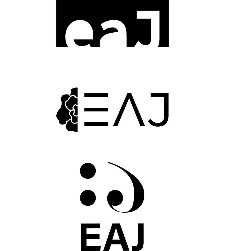 The three, finalized logos that were submitted in the final branding proposal.